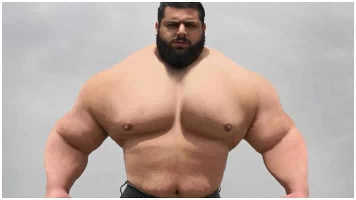 Hulk Sajad Gharibi