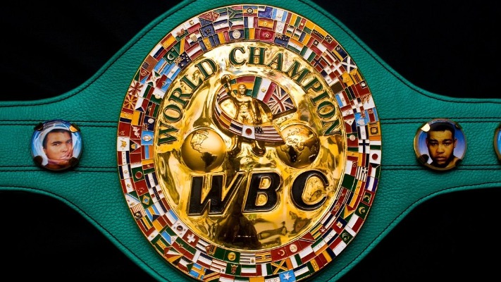 WBC President Mauricio Sulaiman Reveals The Name of The New 224lbs Division