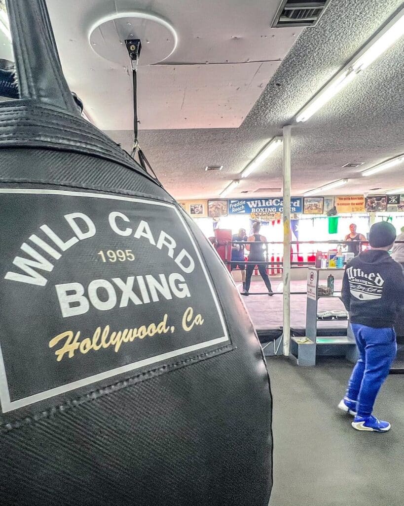 Wild Card Gym