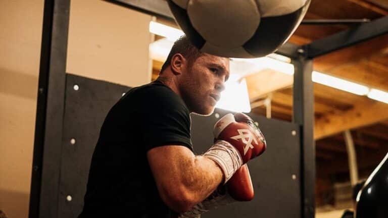 The 20 Best Boxers Of The Modern Boxing Era You Must Know